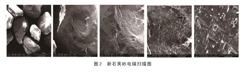 图2新石英砂电镜扫描图